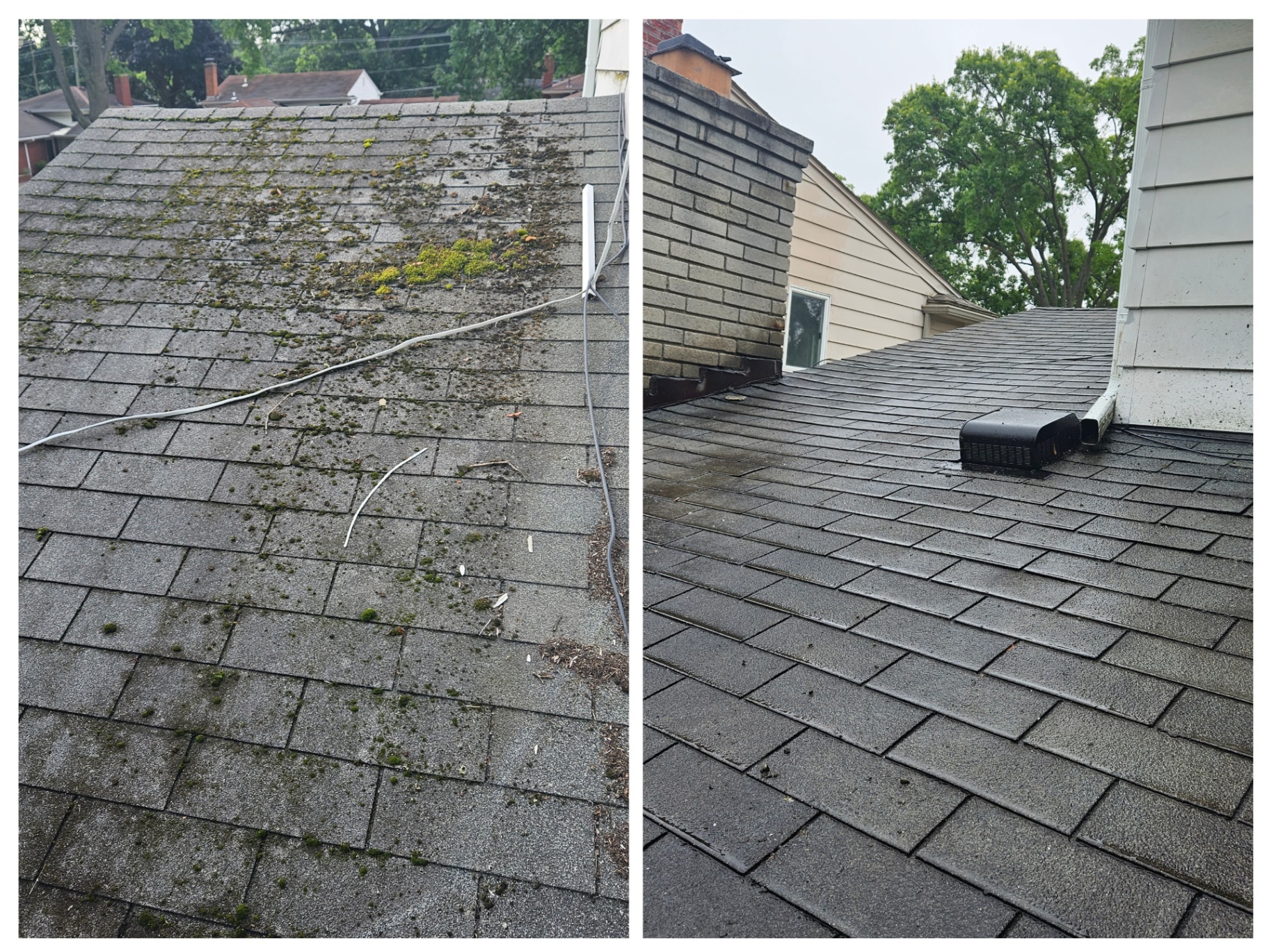 Roof Moss & Algae Removal before and after