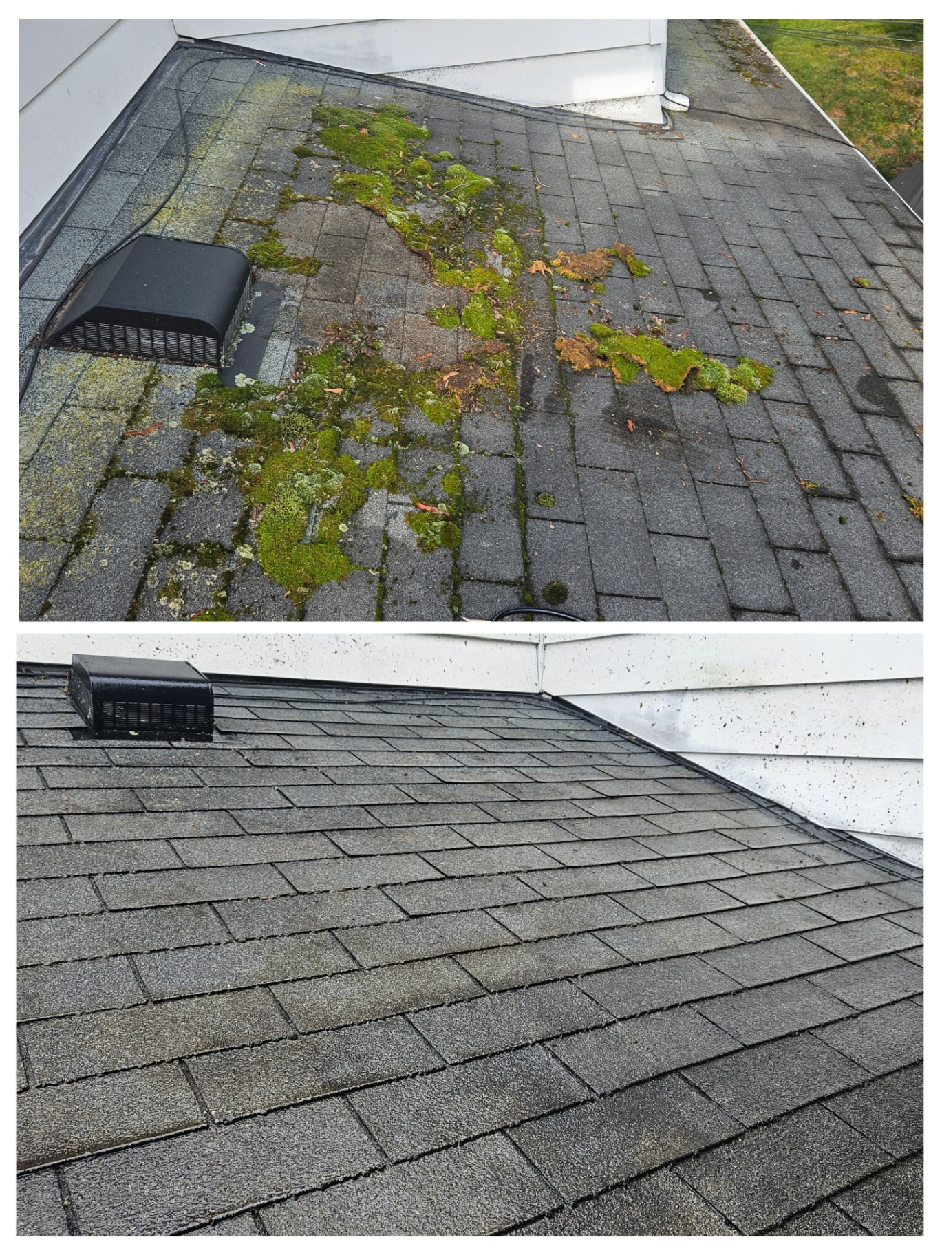 Roof Soft Wash before and after